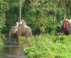 Sundarbans Honeymoon Trip