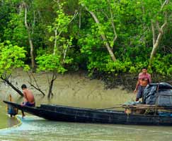 Sundarbans Vacation